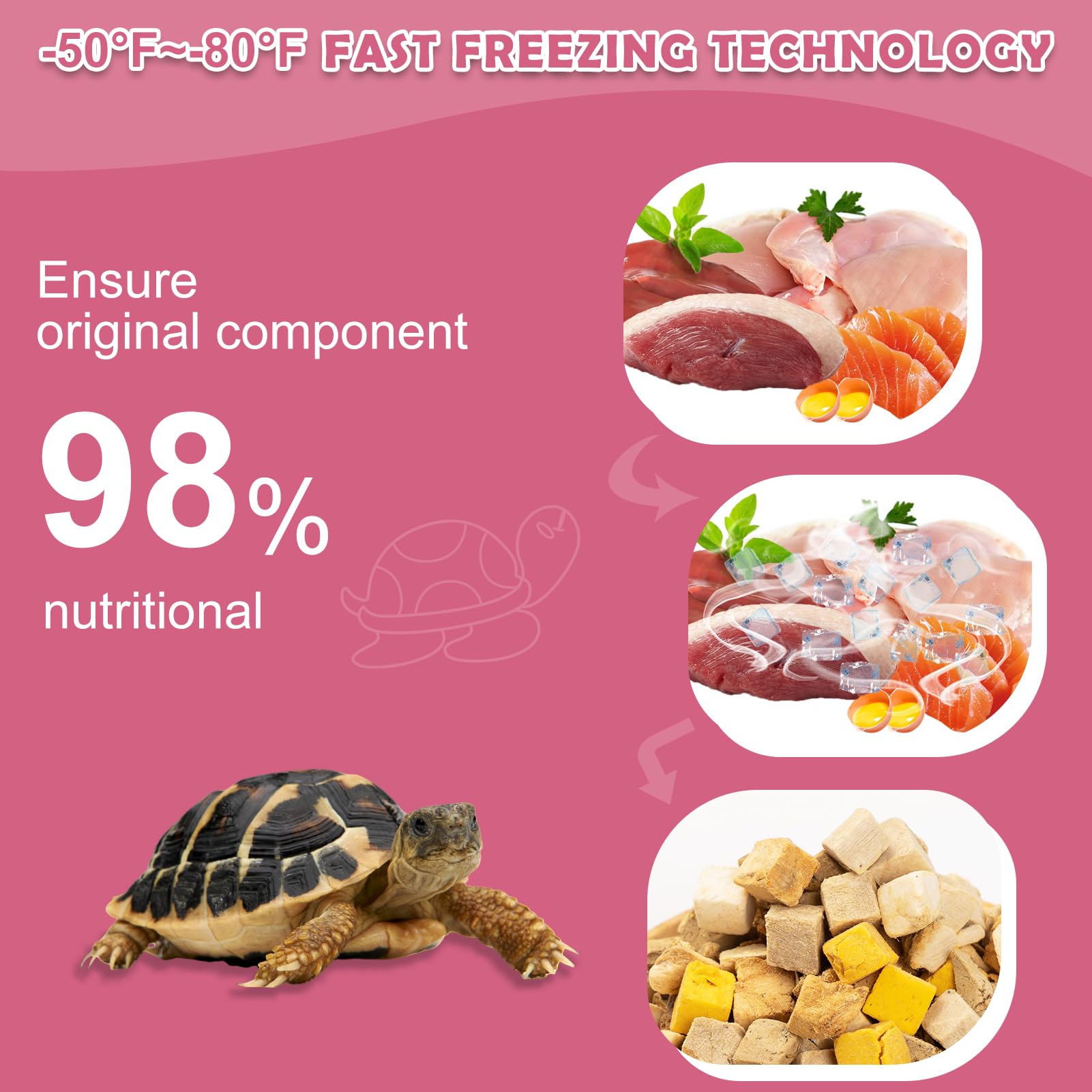 Capuca tortue aquatique: emballage pratique avec fermeture hermétique