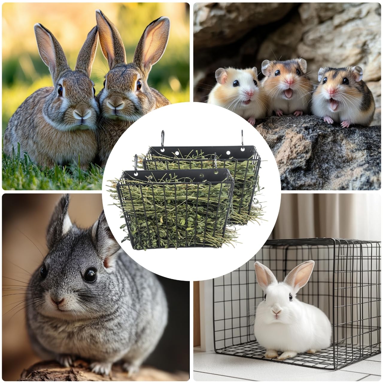 CAIQINLI cadre métallique durable assure une longue vie dans la cage.
