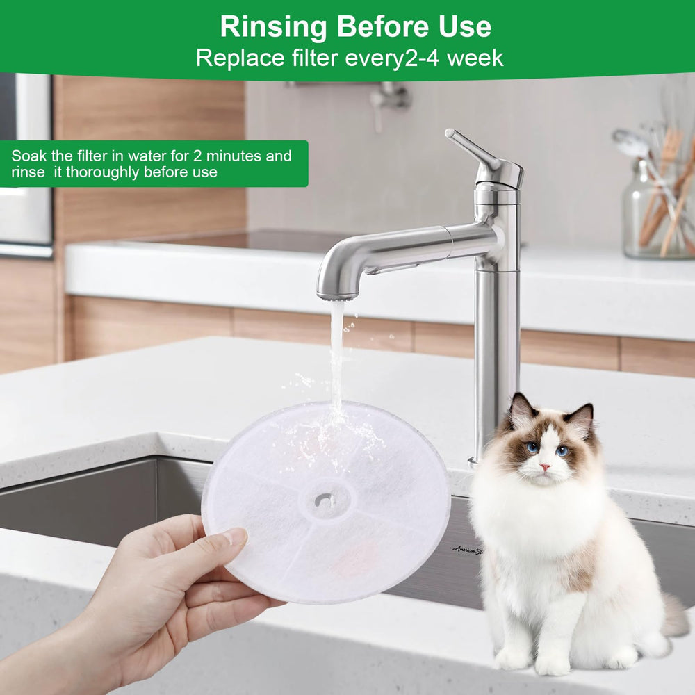 Carcent remplacement filtre trempage pré-utilisation.