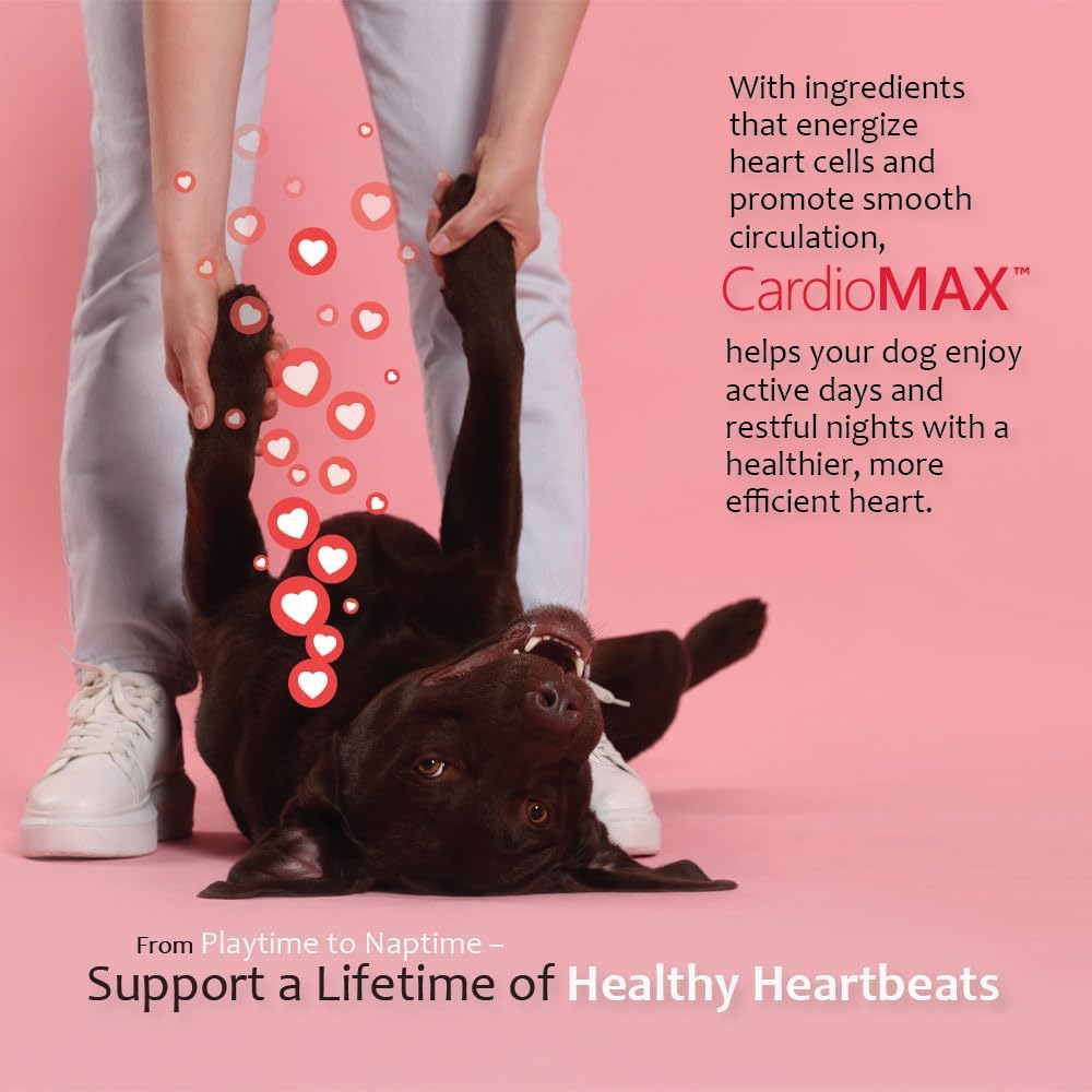 CardioMAX – formulation vétérinaire, fabrique aux États-Unis