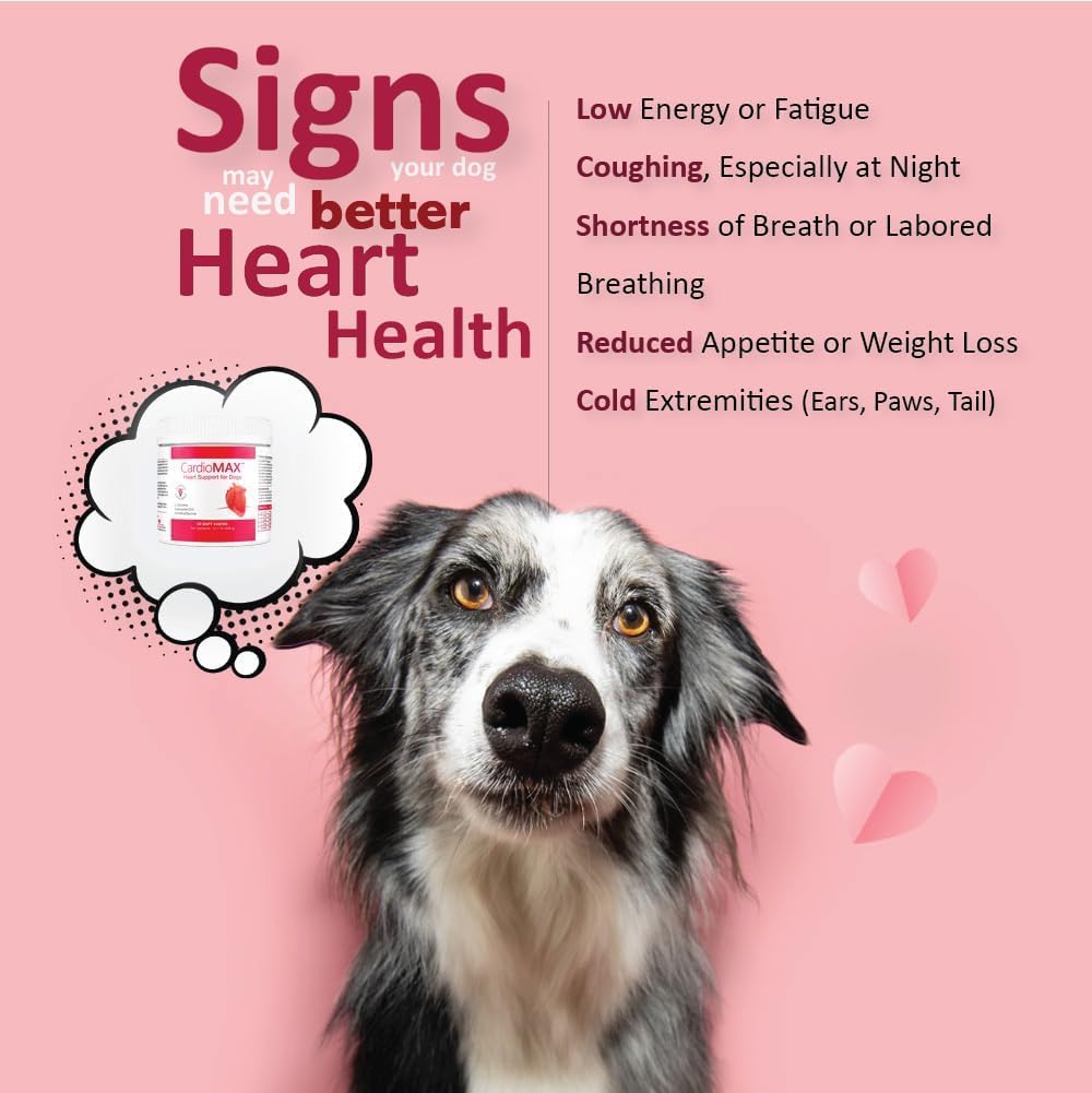 CardioMAX – gommes en forme de cœur, goût agréable pour chien