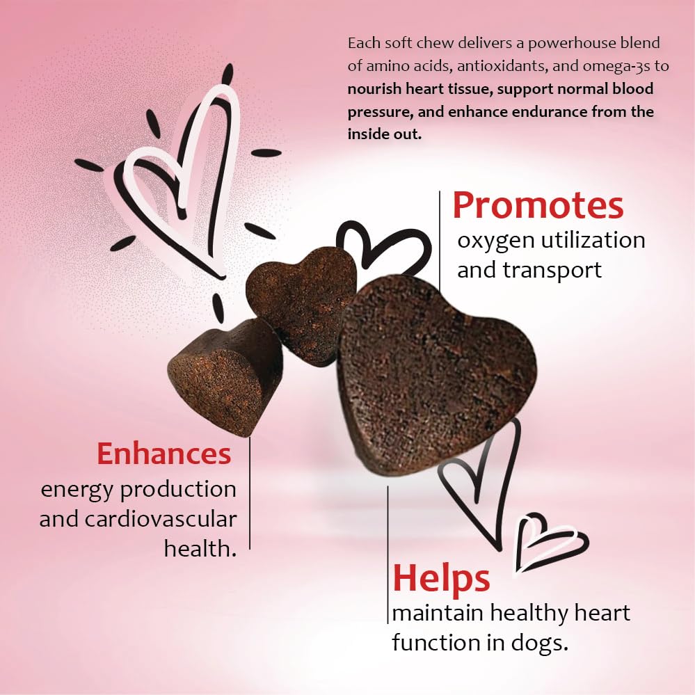 CardioMAX – L-carnitine dans la formule pour l'énergie et le mouvement.