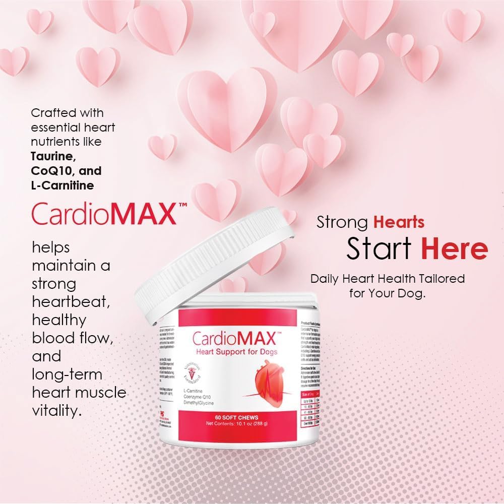 CardioMAX – taurine et CoQ10, ingrédients clés pour le cœur