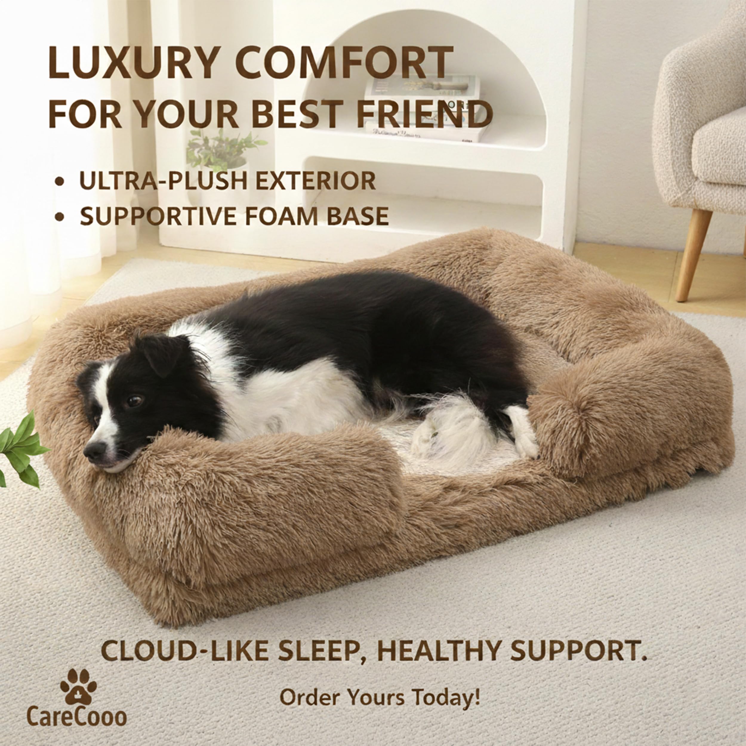Ambiance salon avec lit pour chien CareCooo, parfait en hiver.