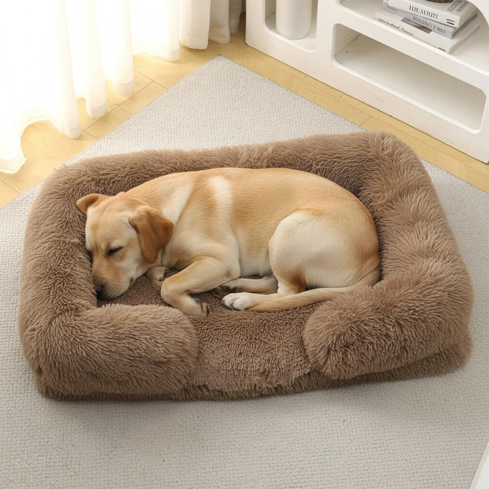 CareCooo canapé orthopédique pour chien grand, soutien des articulations et sommeil plus serein.