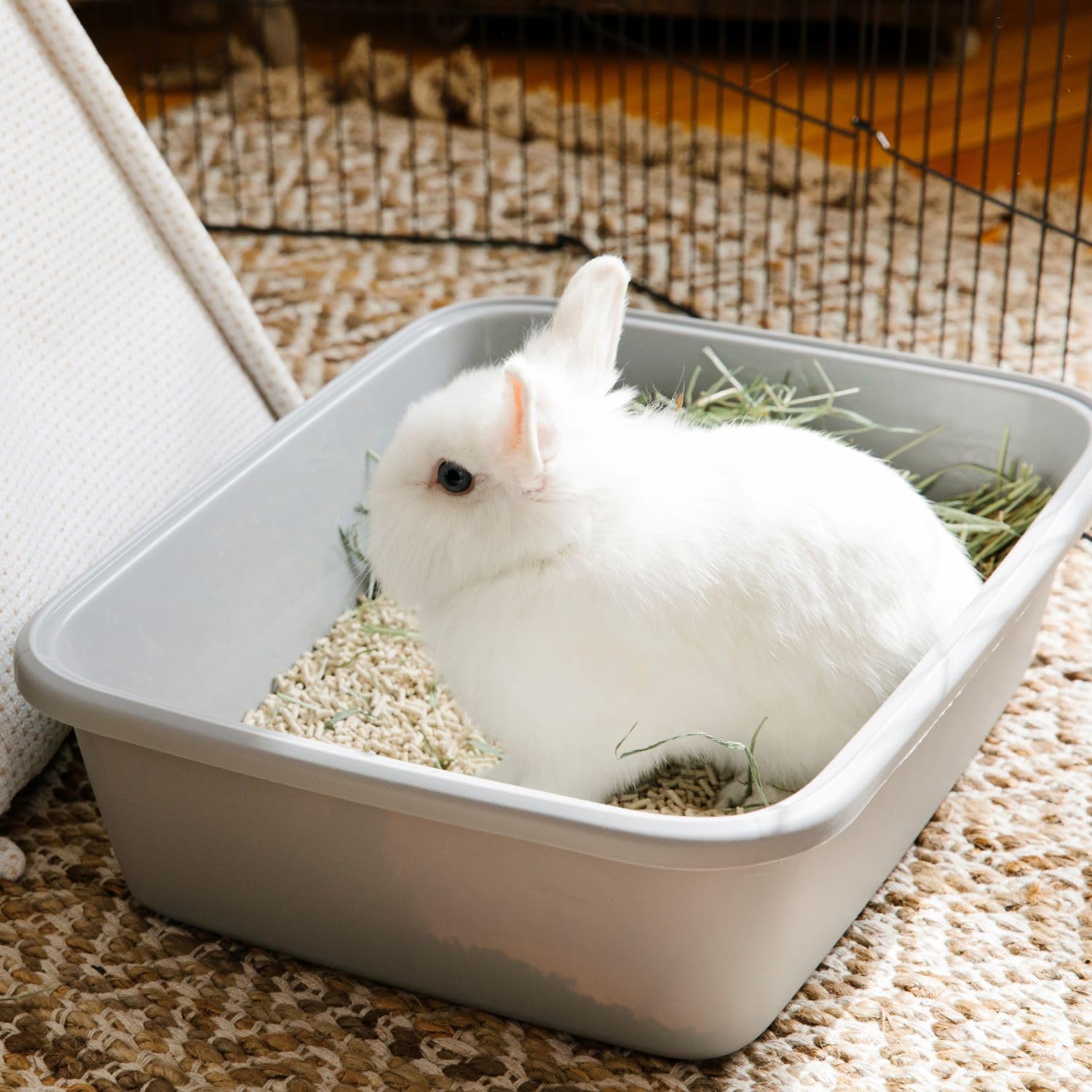 Carefresh litière compostable durable: respectueuse de l’environnement.