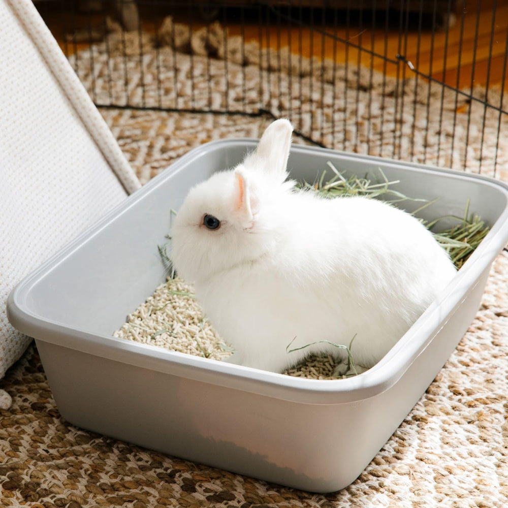 Carefresh litière compostable durable: respectueuse de l’environnement.