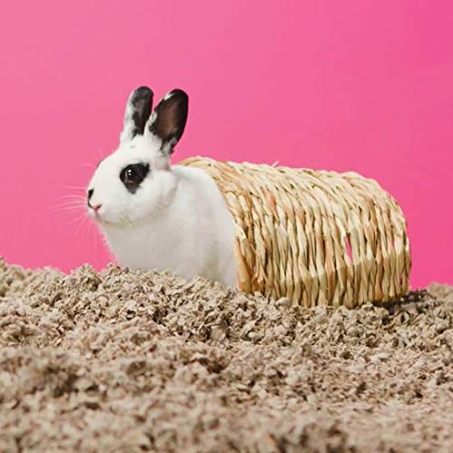 Carefresh utilisation quotidienne, propreté et bien-être pour vos animaux.
