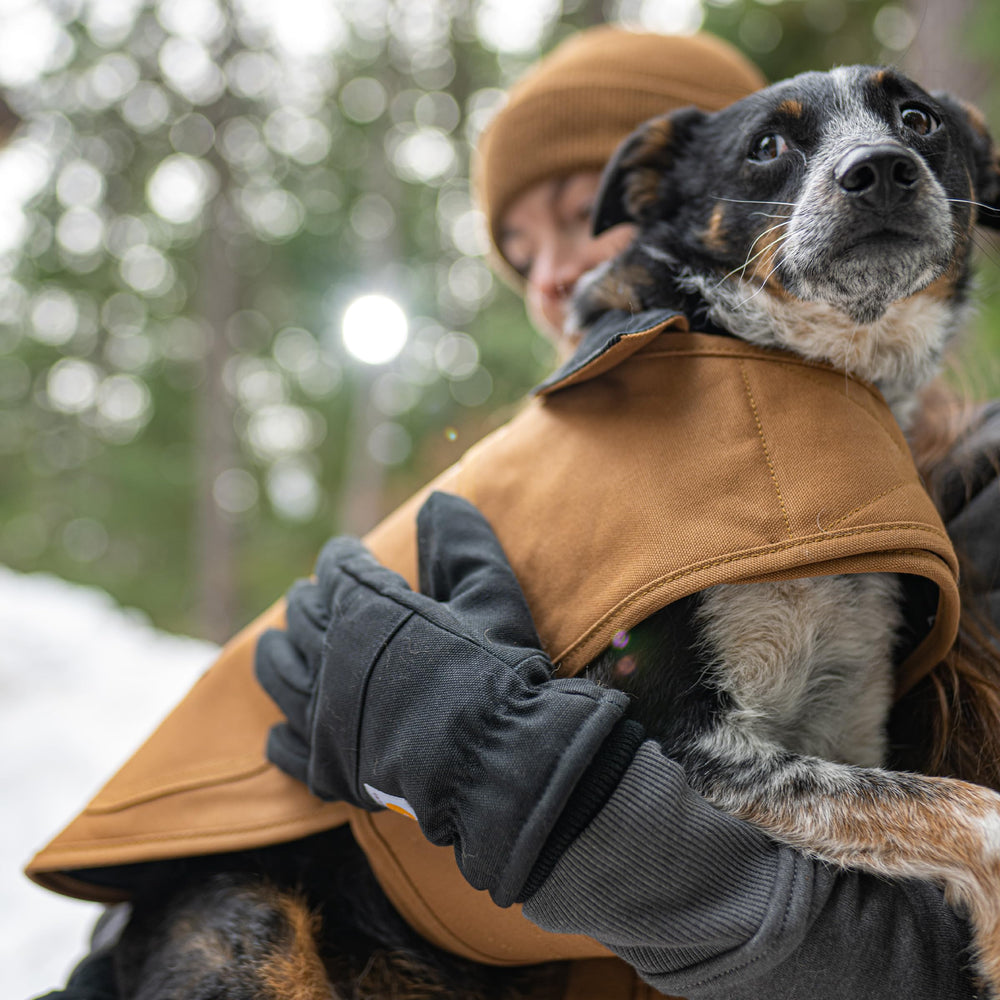 Attaches réglables et sangles Carhartt assurent un ajustement rapide et sûr.