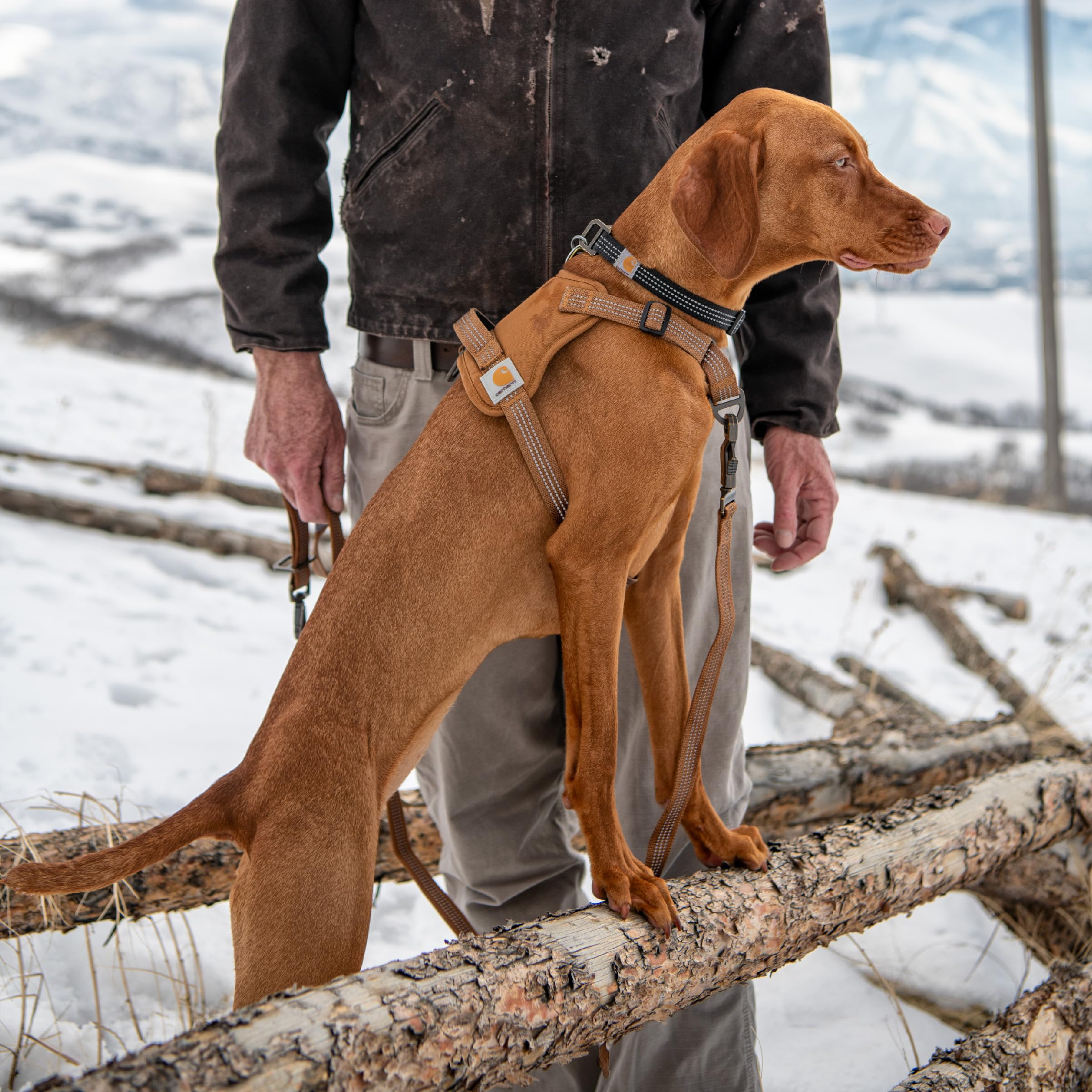 Harnais Carhartt imperméable DWR en nylon 500 deniers contre la pluie légère.