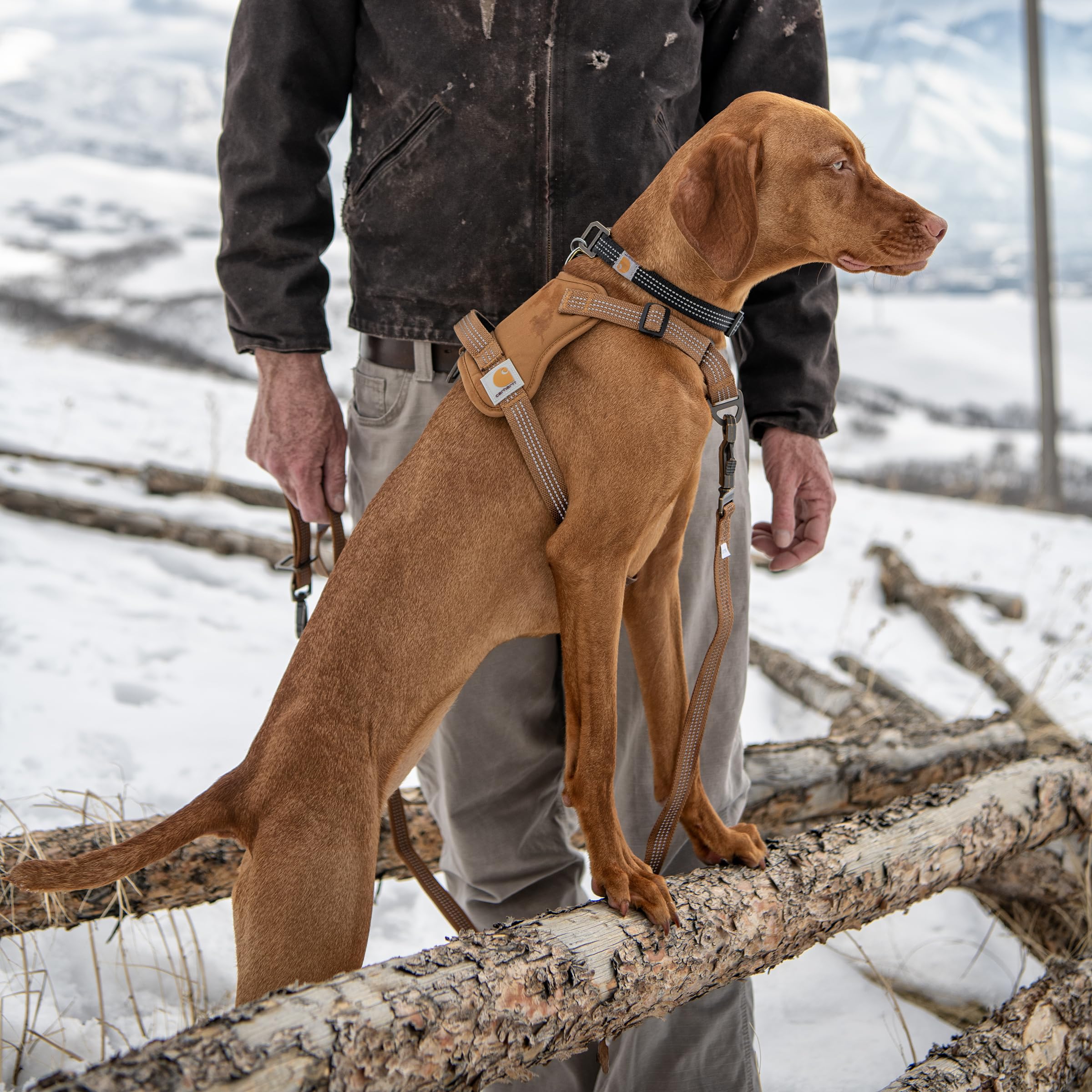 Carhartt No Pull, revêtement DWR repoussant la pluie légère.