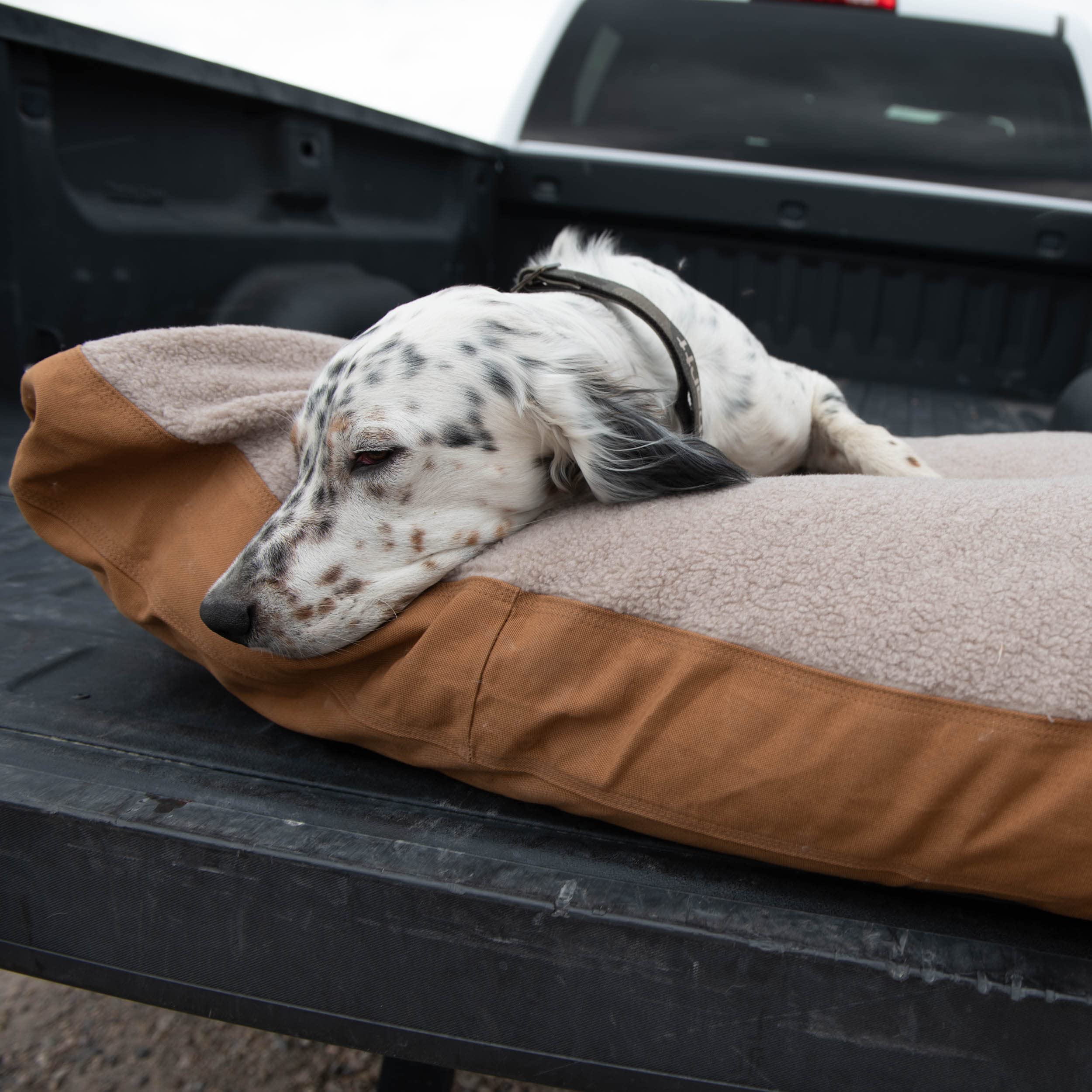 Grand lit Carhartt 33 x 41 pouces pour chiens de grande taille