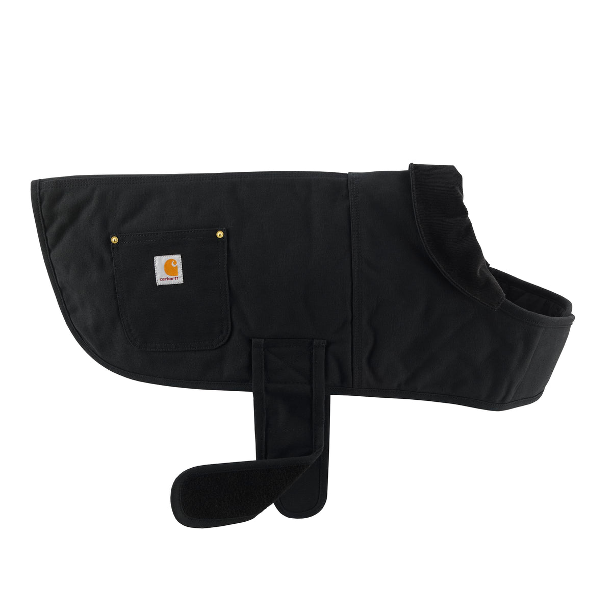 Carhartt manteau pour chien imperméable en action, focus sur le visage du chien.