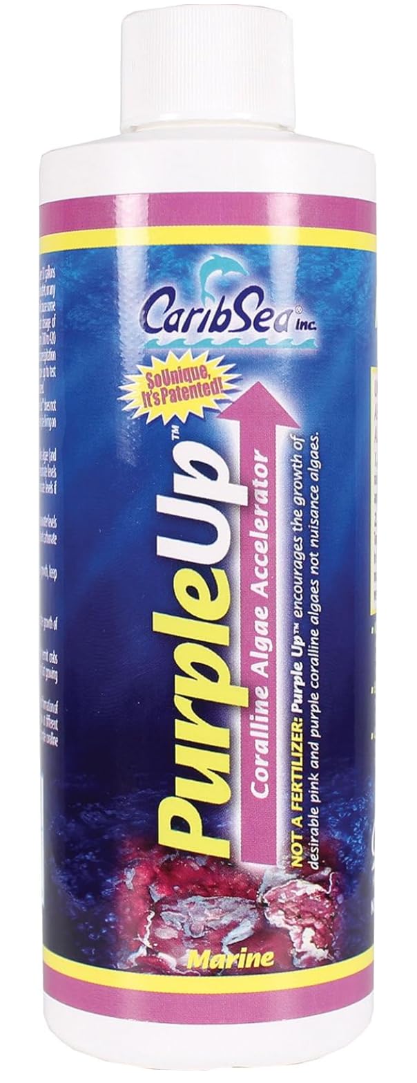 Carib Sea Purple Up accélérateur d’algues favorise les corallines roses et violettes dans le bac récif.