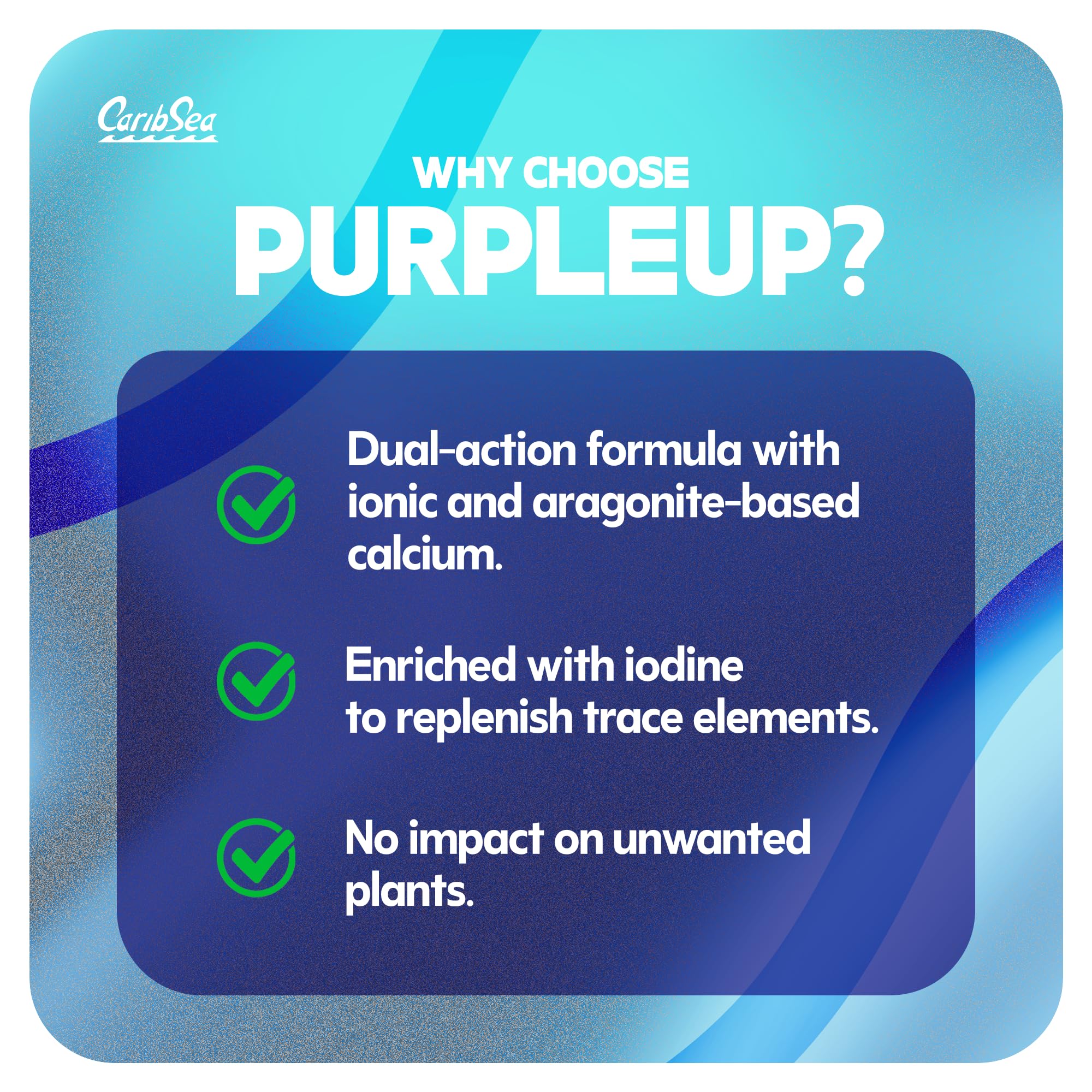 Carib Sea Purple Up améliore la santé du bac grâce à la filtration biologique.