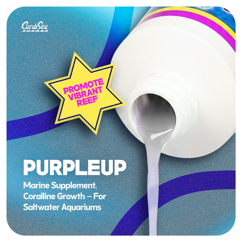 Carib Sea Purple Up assure la stabilite du bac recifal et calcium uniforme.
