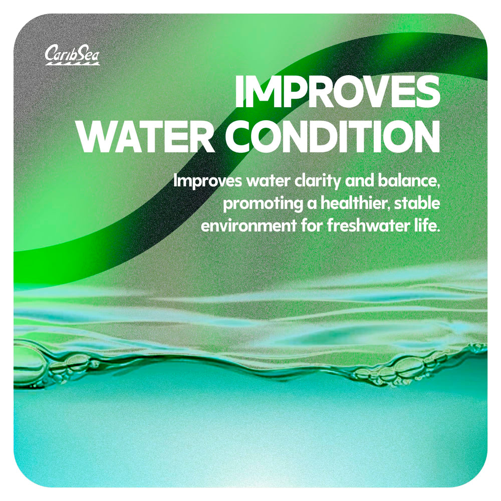 Carib Sea Sunset Gold – base naturelle pour un aquascaping fluide et coloré.