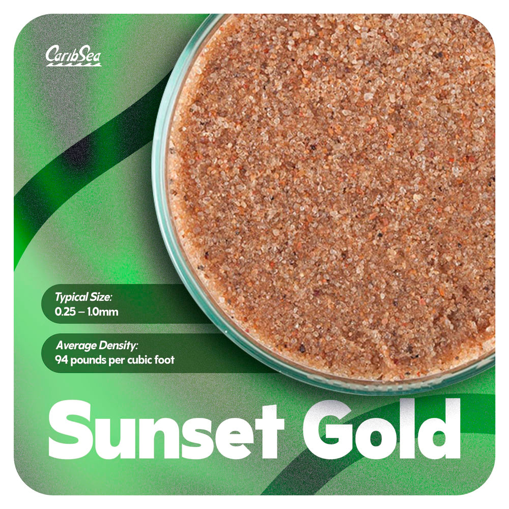 Carib Sea Sunset Gold – entretien facile qui maintient l'éclat du sable.