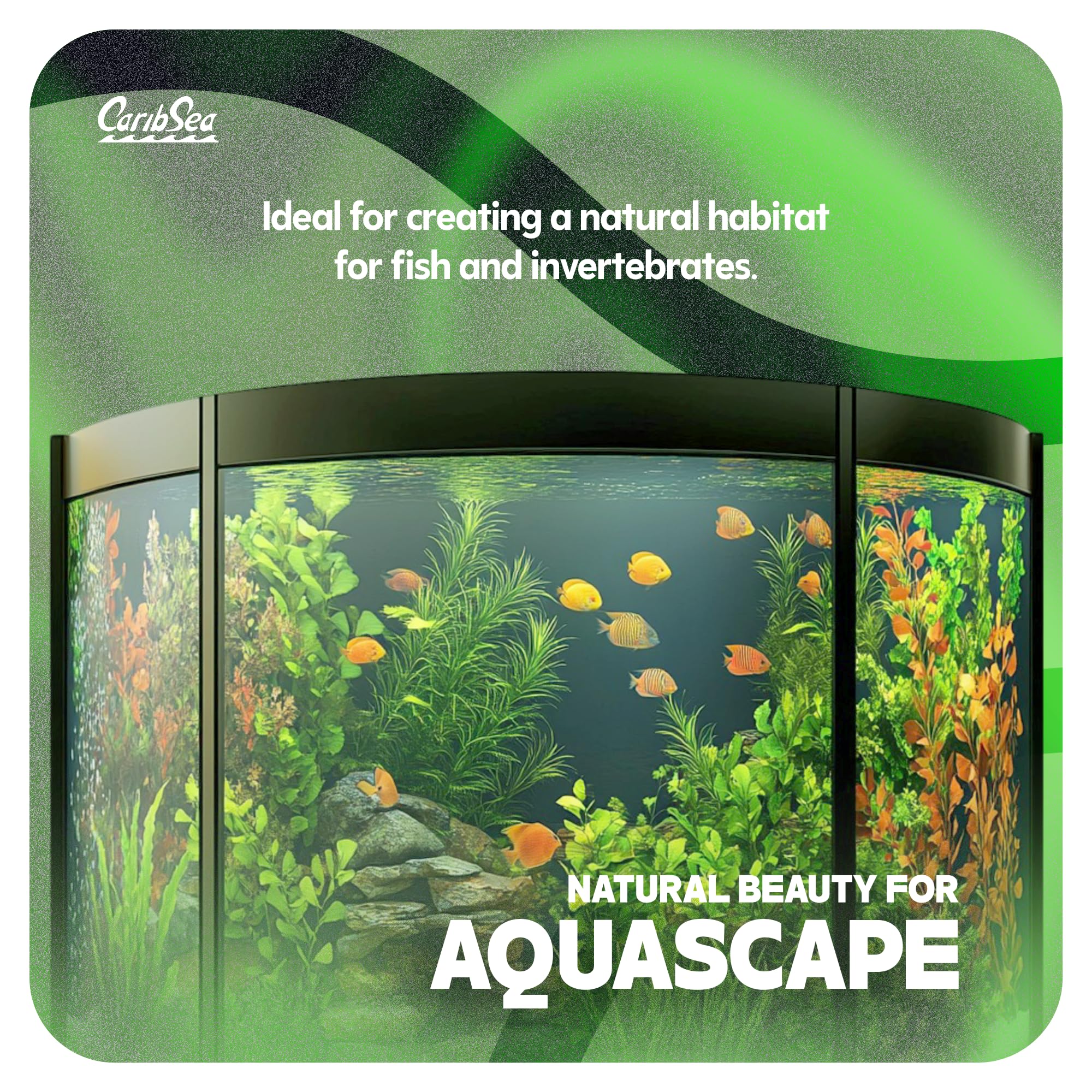 Carib Sea Sunset Gold – parfait pour petits et moyens aquariums.
