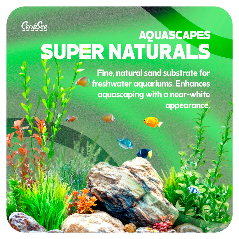 Carib Sea Sunset Gold – sable lumineux pour paysages aquatiques réalistes.