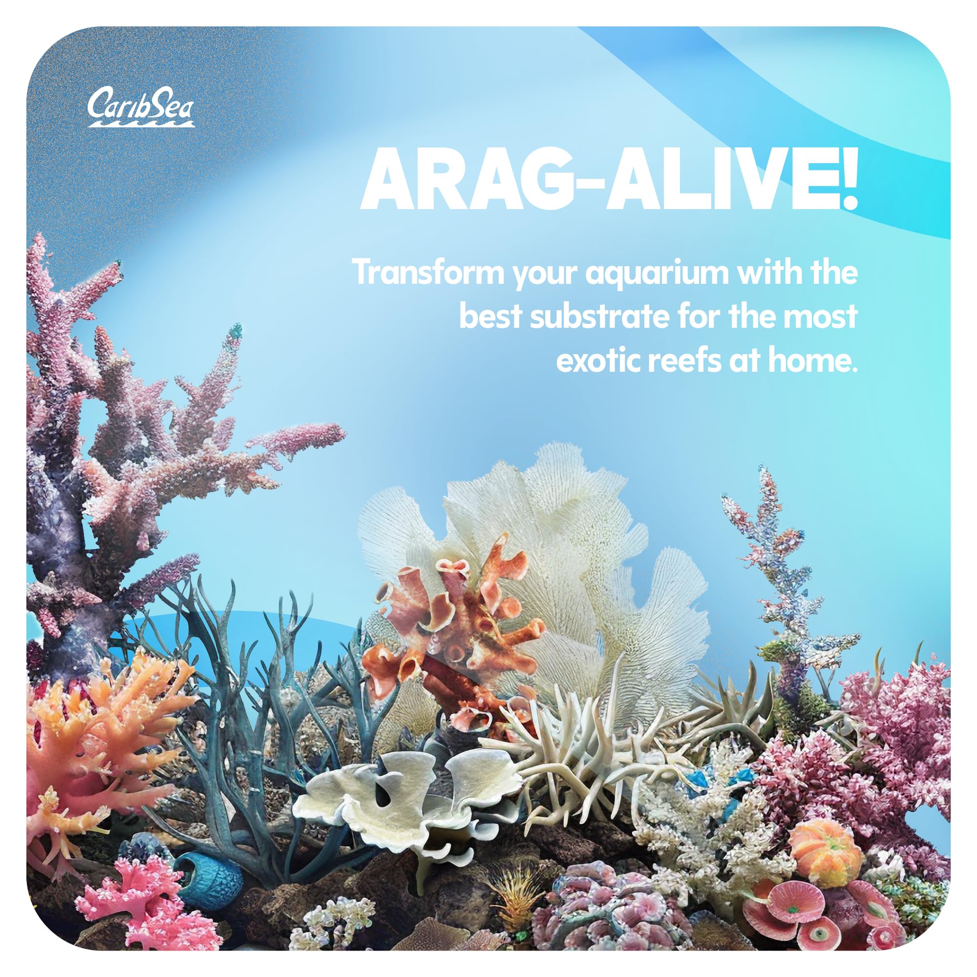CaribSea Arag-Alive Bimini Pink – substrat pour attachement des coraux dans le bac.