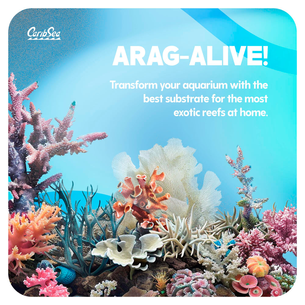 CaribSea Arag-Alive Bimini Pink – substrat pour attachement des coraux dans le bac.
