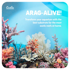 CaribSea Arag-Alive Bimini Pink – substrat pour attachement des coraux dans le bac.