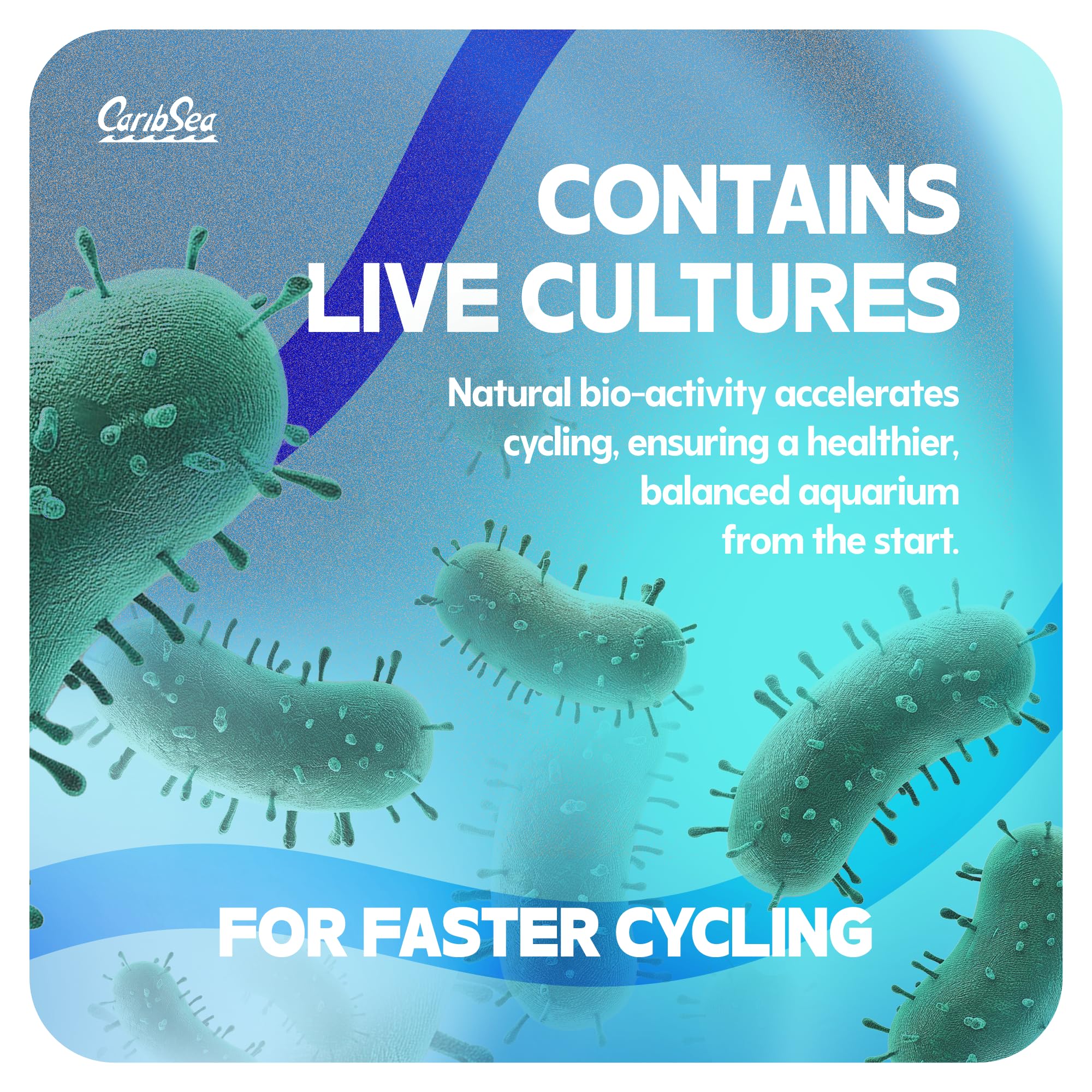 CaribSea Arag-Alive Bimini Pink – eau plus claire grâce au substrat aragonite.