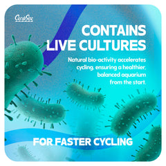 CaribSea Arag-Alive Bimini Pink – eau plus claire grâce au substrat aragonite.