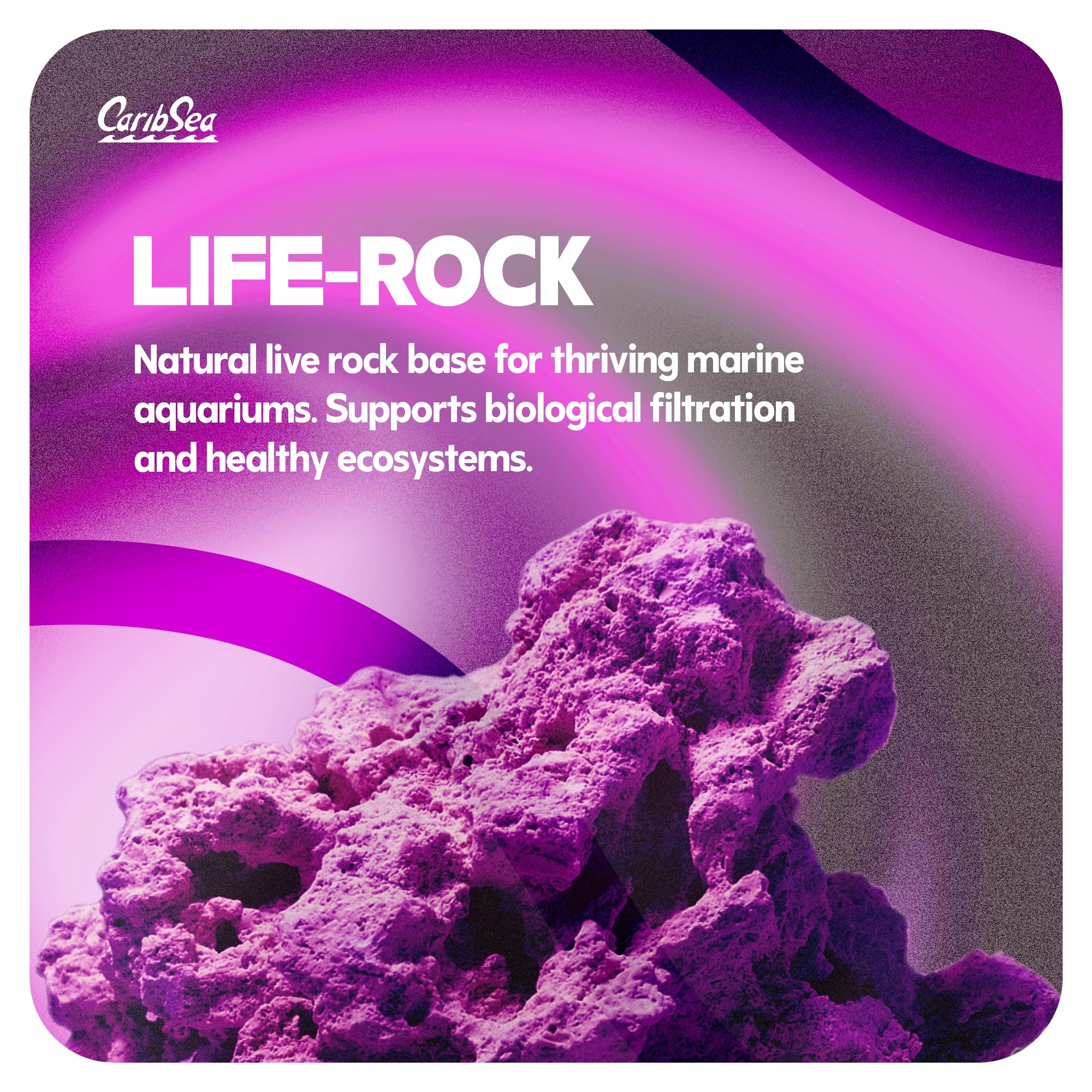 CaribSea LifeRock Dreamscapes – cavernes et arches pour des designs créatifs.