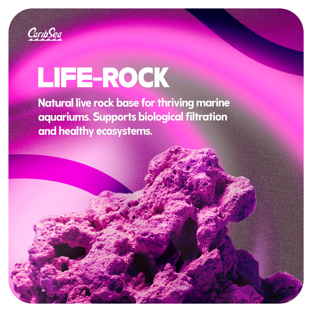 CaribSea LifeRock Dreamscapes – cavernes et arches pour des designs créatifs.