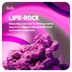 CaribSea LifeRock Dreamscapes – cavernes et arches pour des designs créatifs.