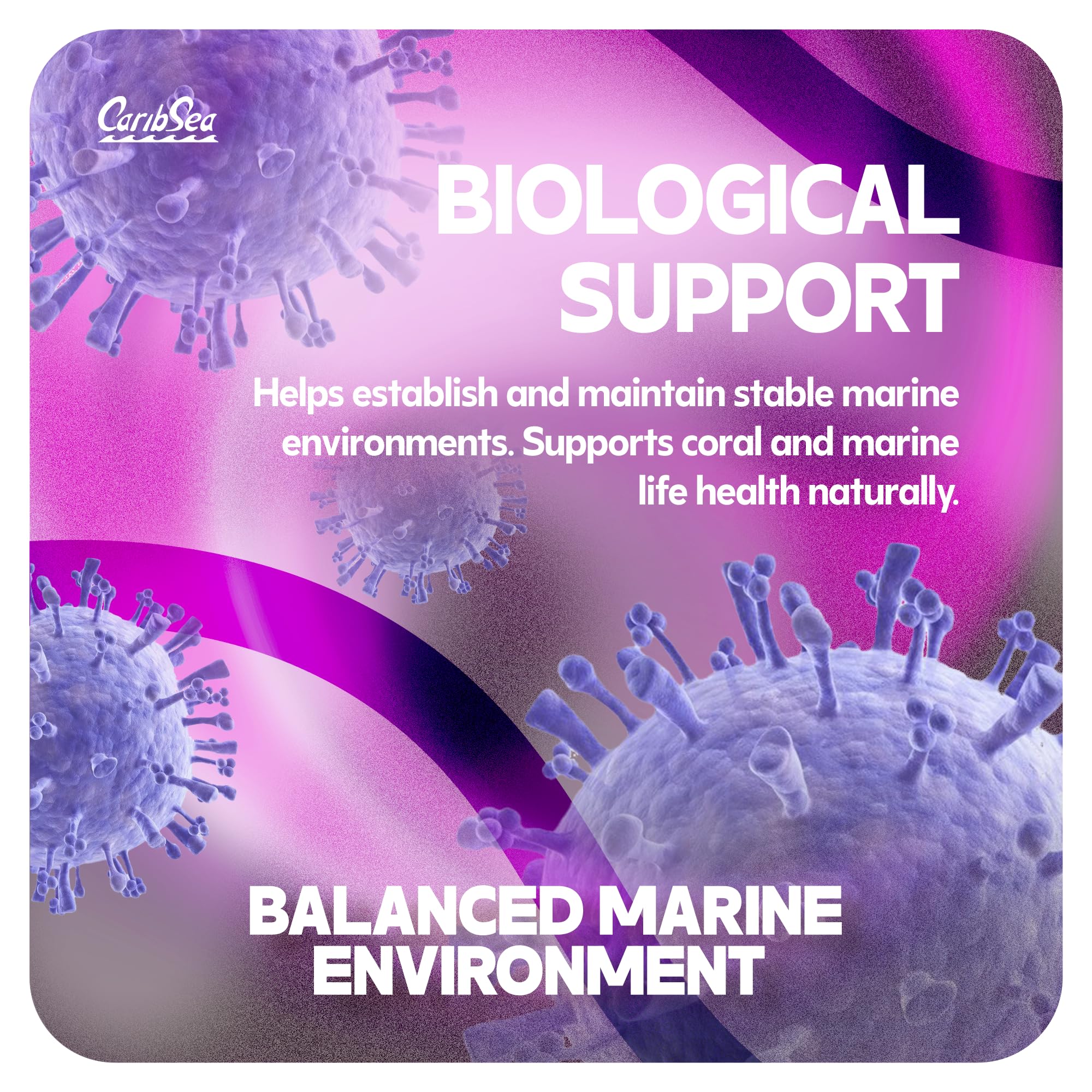 CaribSea LifeRock Dreamscapes – structure poreuse favorisant la filtration biologique naturelle.