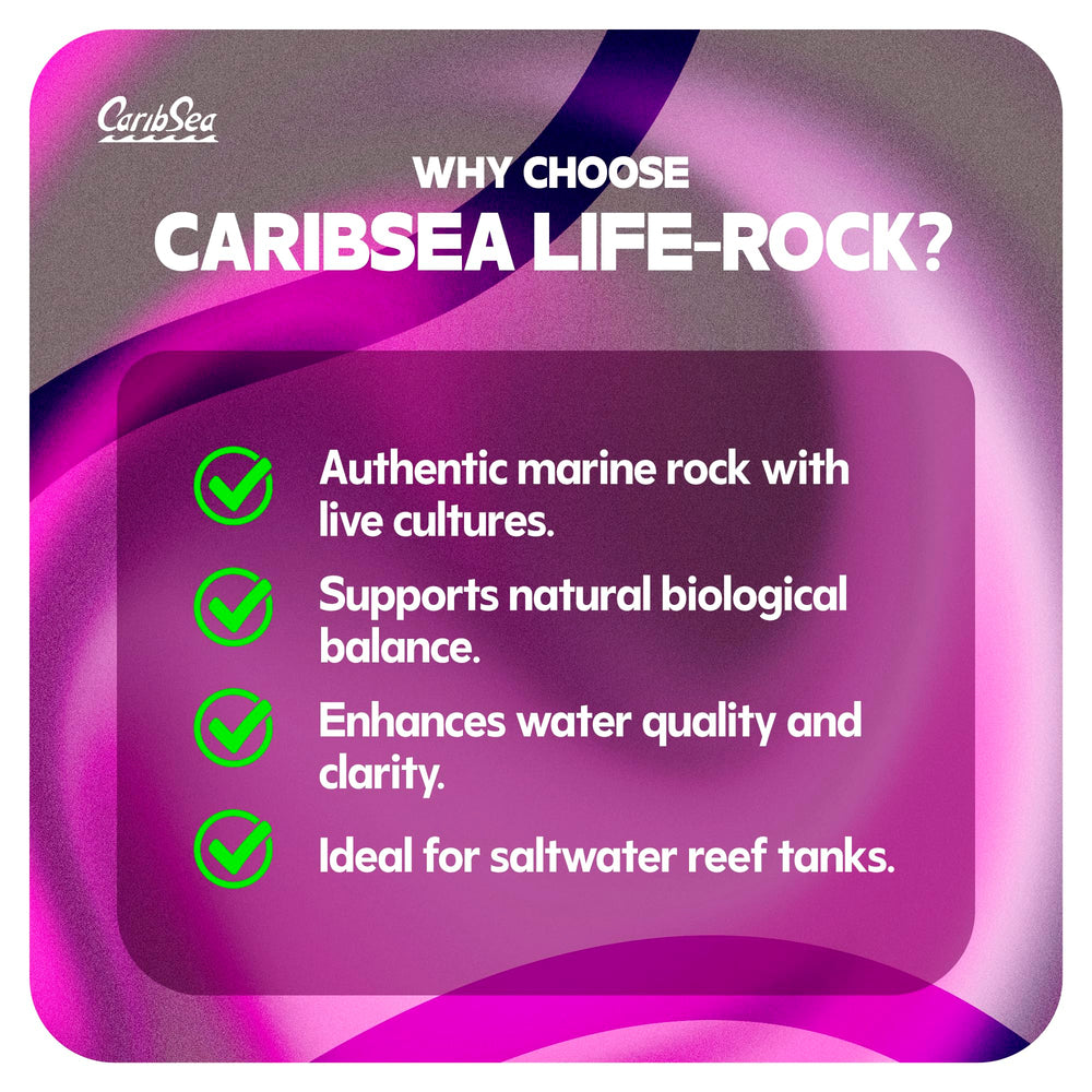 CaribSea LifeRock Dreamscapes – tunnels pour structures d'aquarium intrigantes.