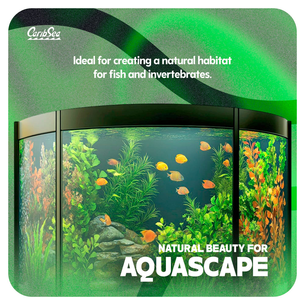 Moonlight Carib Sea sert de substrat neutre et polyvalent pour les aquariums.