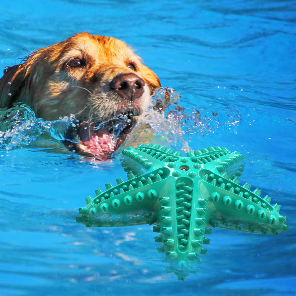 Carllg jouet étoile mer: design ludique pour chiens de toutes tailles.