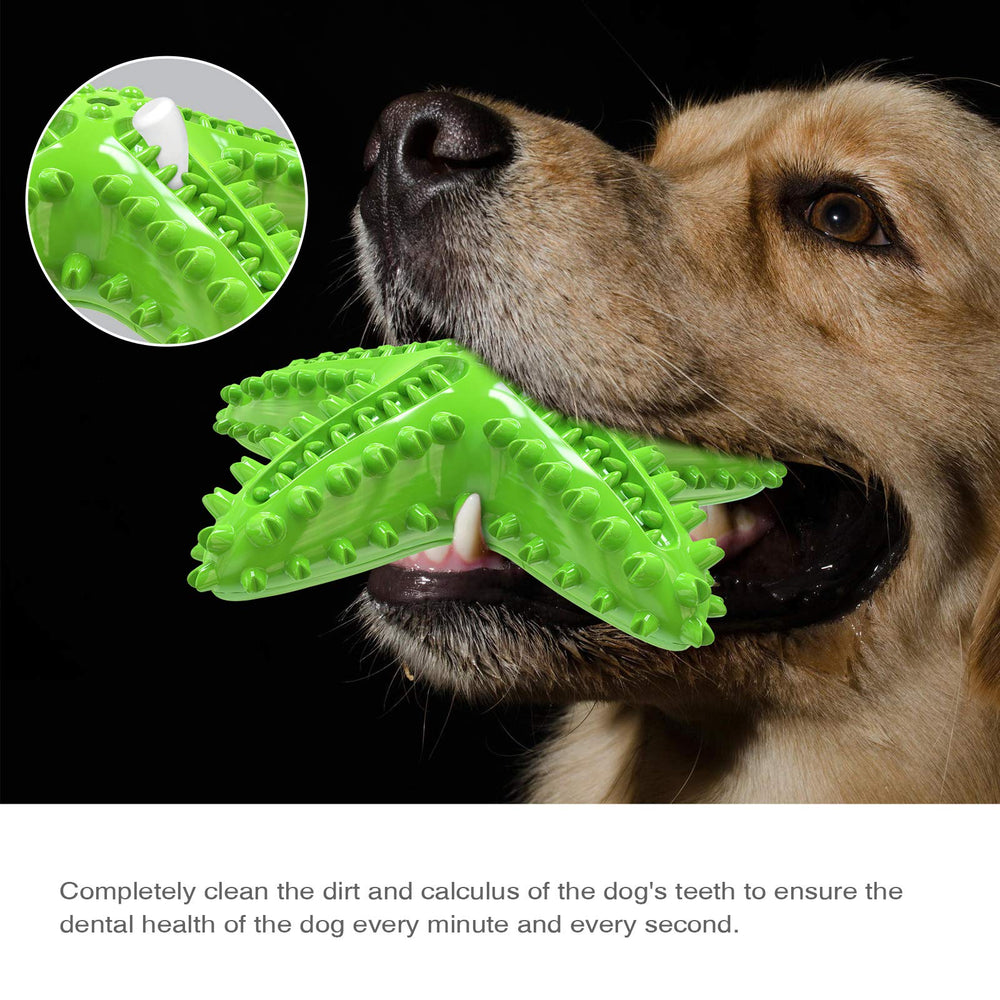 Jouet Carllg puzzle étoile, interactif et stimulant pour l'intelligence canine.