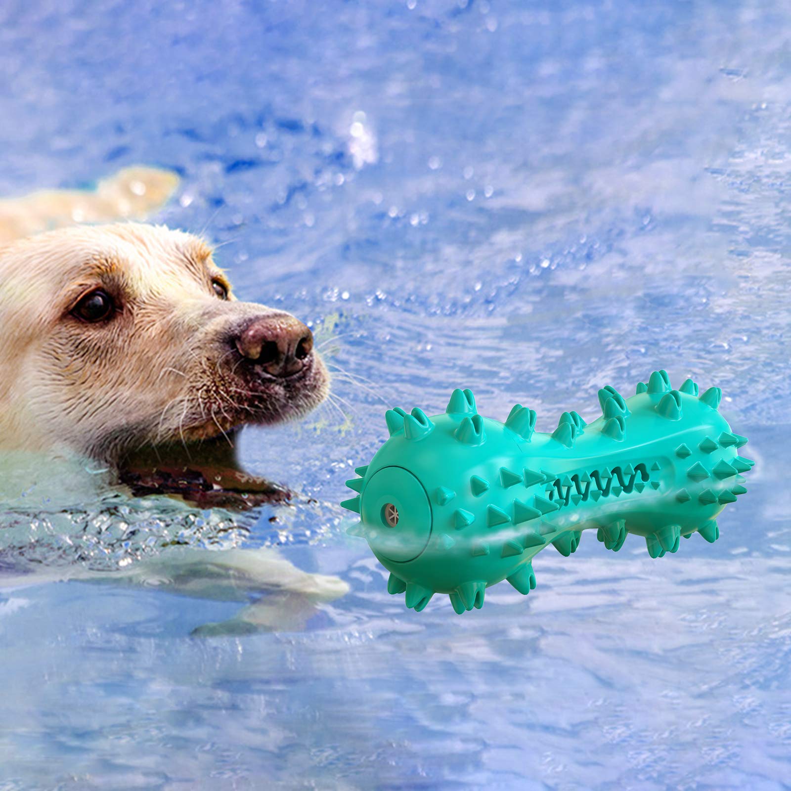 Carllg jouet polyvalent adapté à toutes tailles de chiens