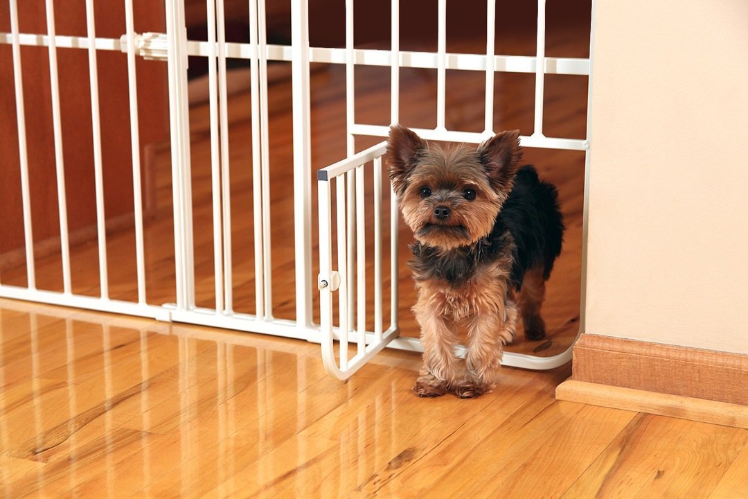Carlson Lil Tuffy porte-petits animaux, pratique pour laisser passer les petits chiens