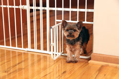 Carlson Lil Tuffy porte-petits animaux, pratique pour laisser passer les petits chiens