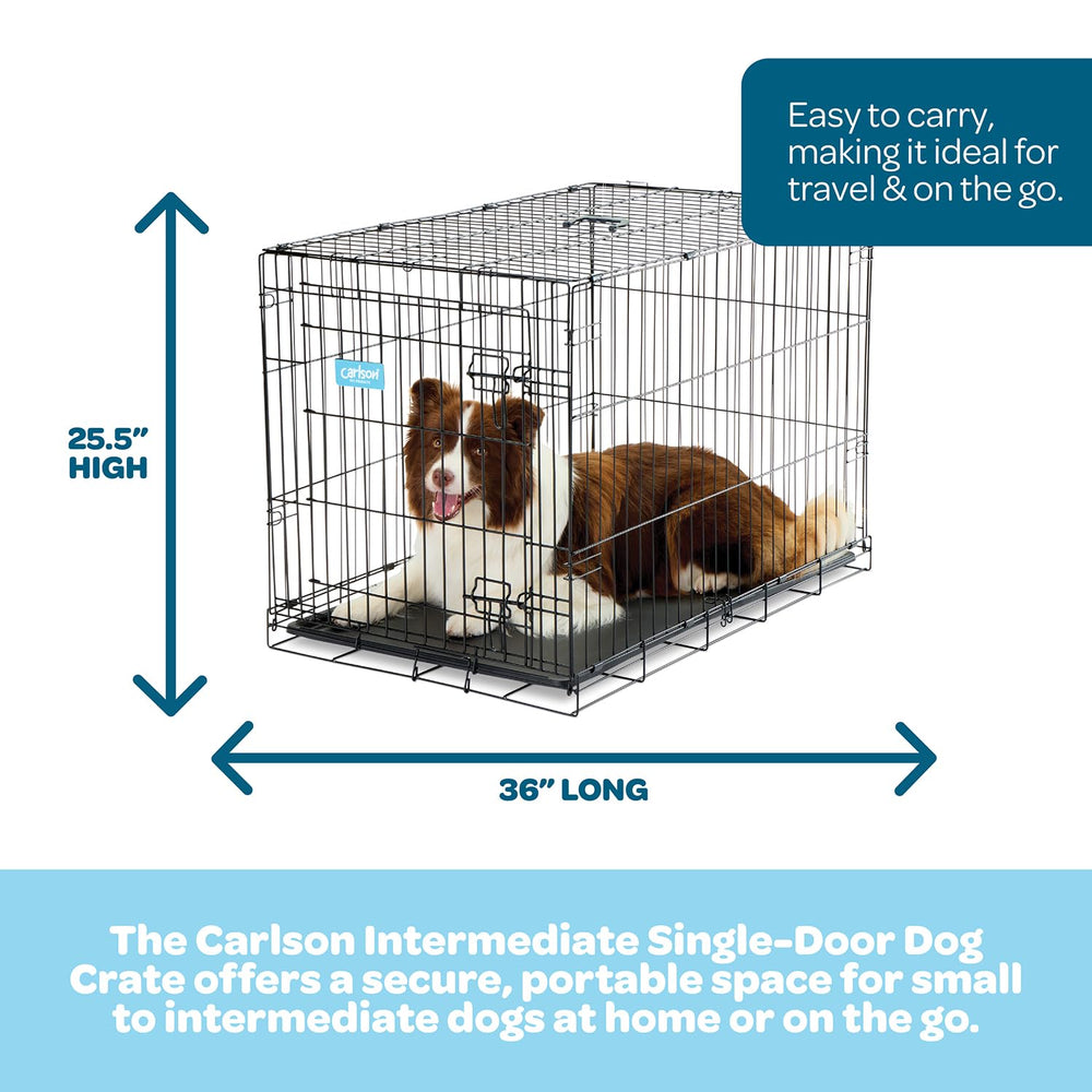 Carlson Pet Products cage métallique 36 pouces, porte fermée, confinement sûr pour déplacements.