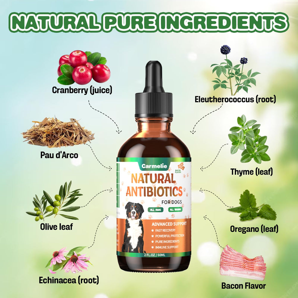 Flacon Carmelie 60 ml de gouttes naturelles, dosage facilité pour animaux.