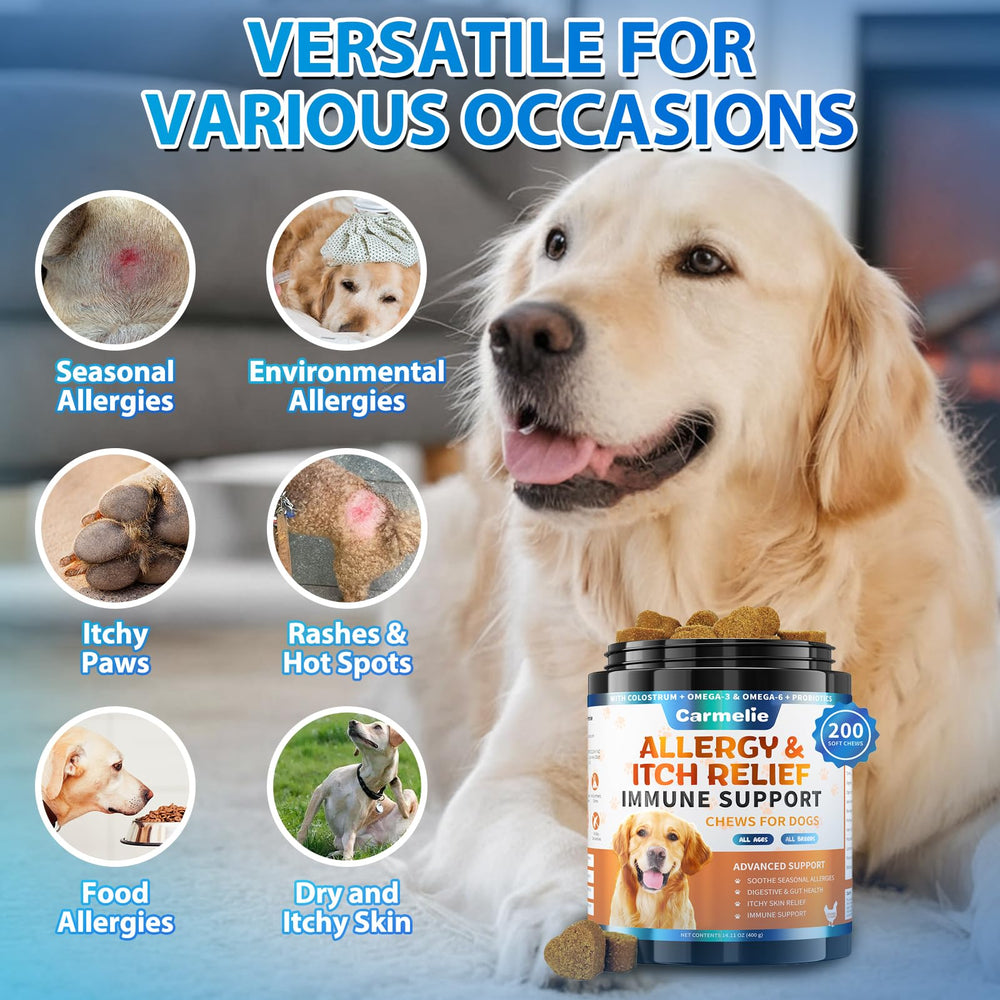 Gommes Carmelie allergie chien dans un bocal, stockage pratique.