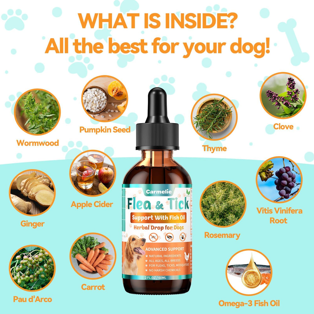 Ingrédients naturels Carmelie: citrouille, gingembre et carotte pour chien.