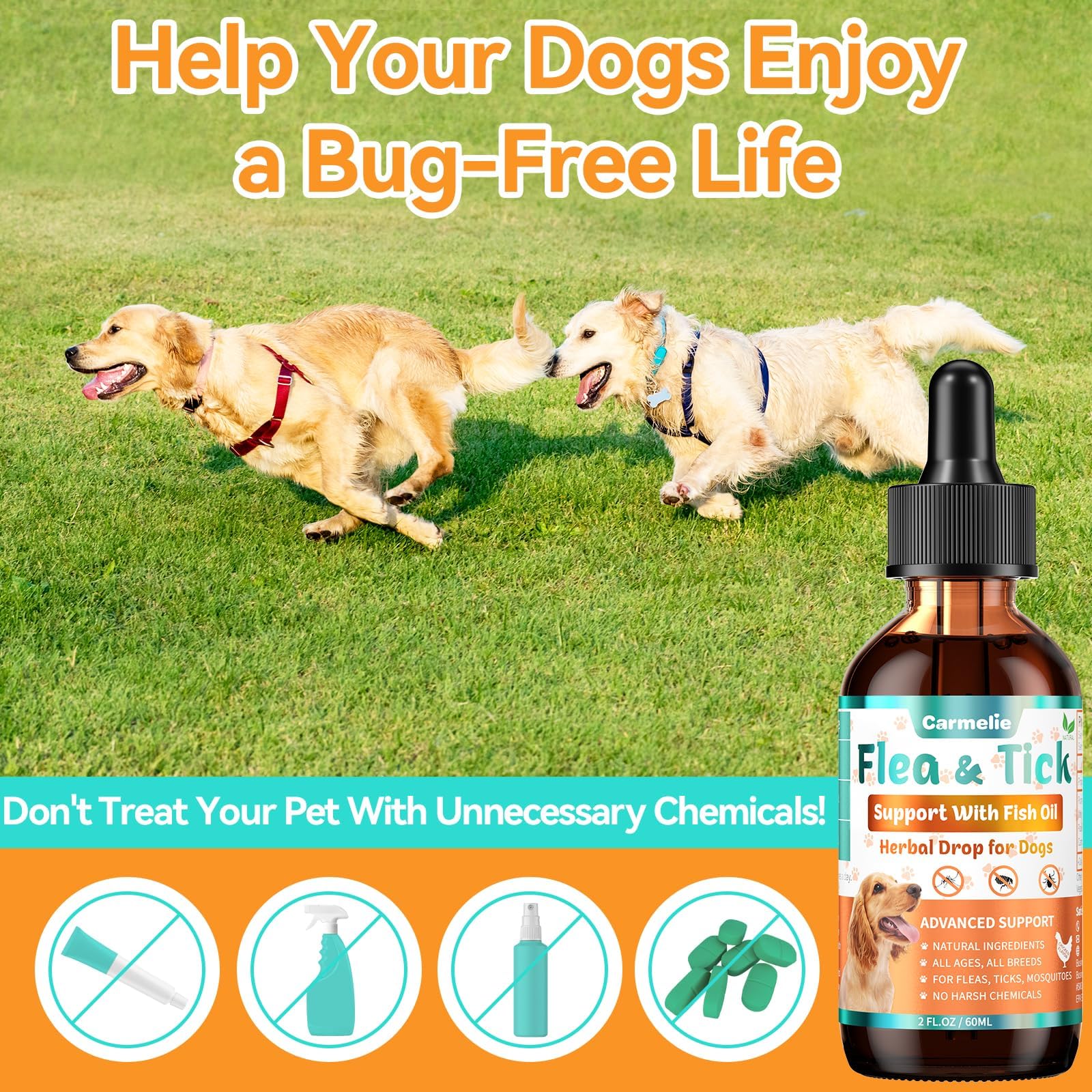 Chien avec pelage brillant après l’utilisation des gouttes Carmelie.