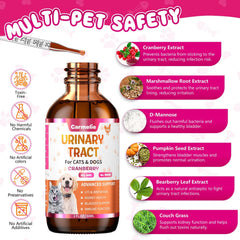 Gouttes Carmelie avec compte-gouttes, dosage facile pour l’alimentation.
