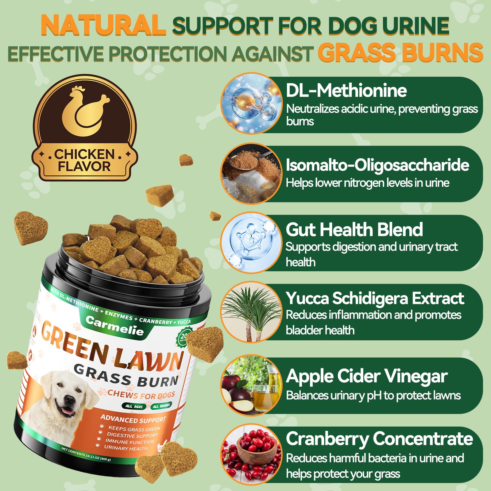 Ingrédients clés Cranberry et DL-Methionine pour l’équilibre urinaire du chien.