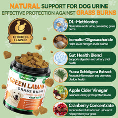 Ingrédients clés Cranberry et DL-Methionine pour l’équilibre urinaire du chien.
