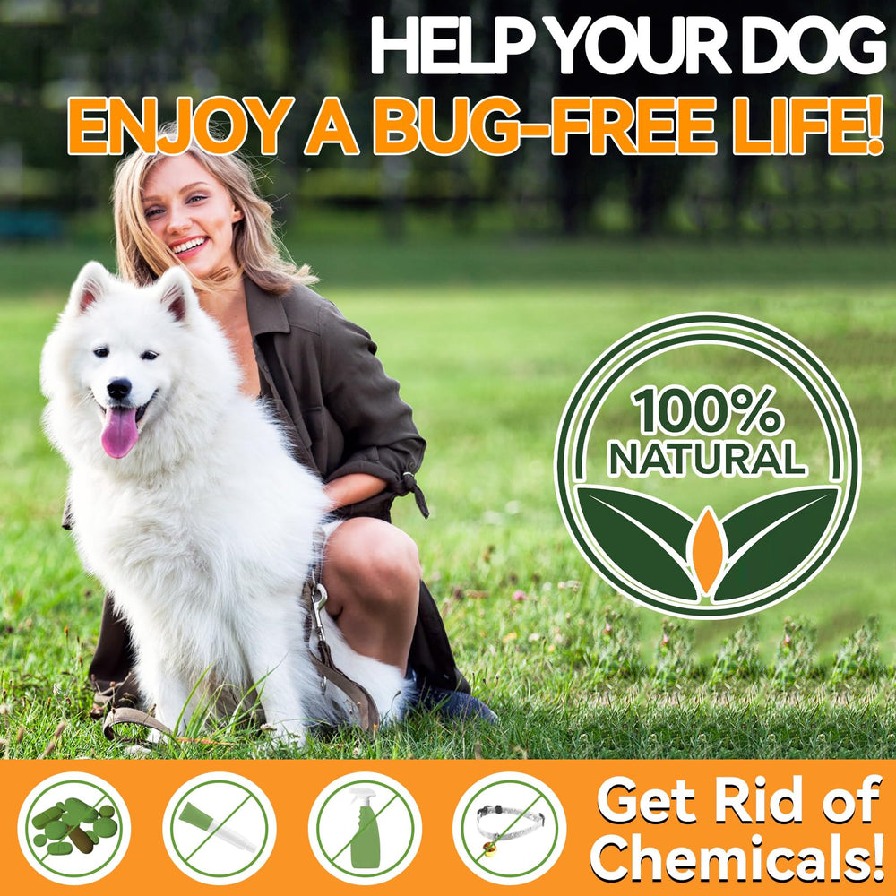 Chien au pelage sain grâce à Carmelie – complément naturel quotidien.