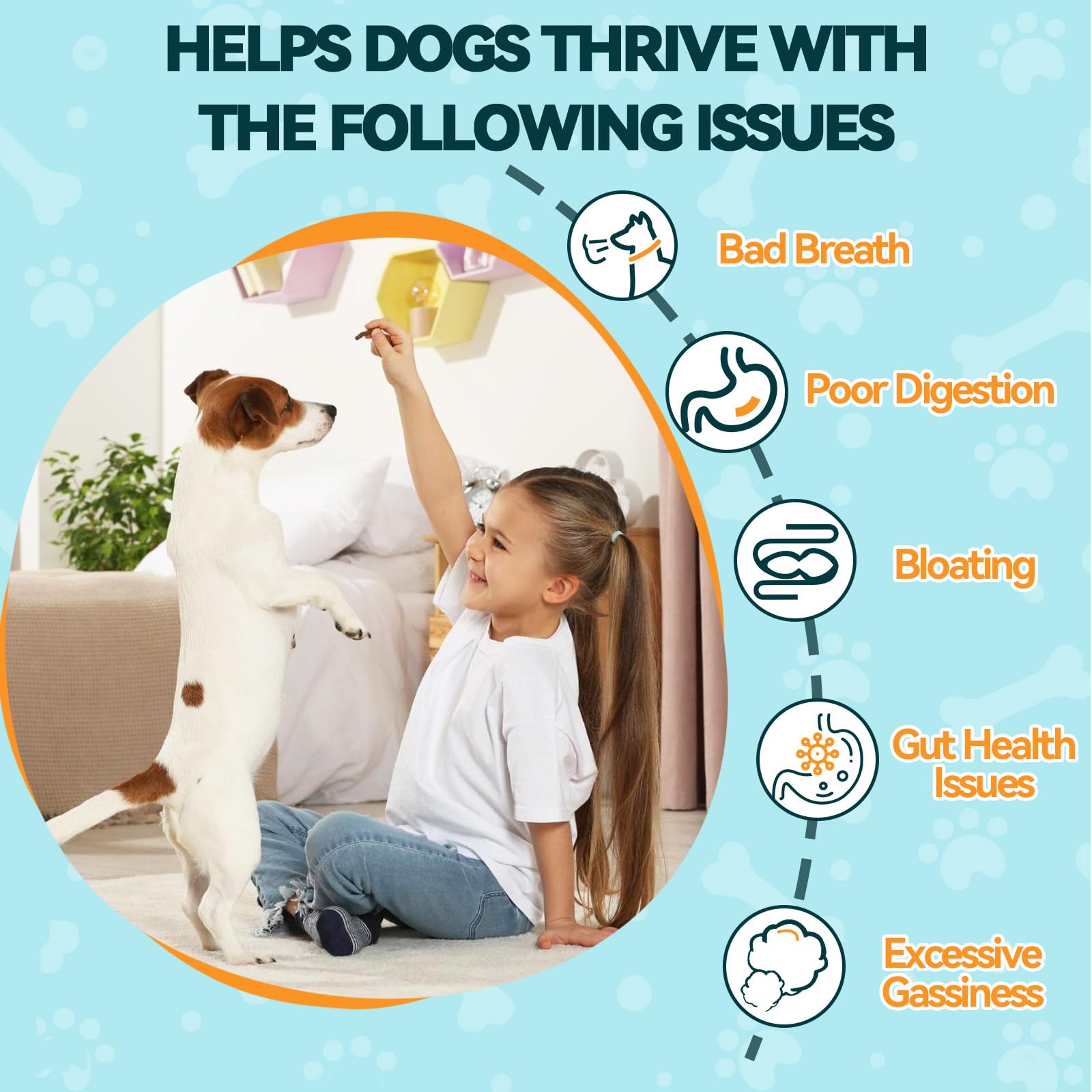 Carmelie probiotiques pour chien – prébiotiques inuline et FOS : nourrissent la flore.